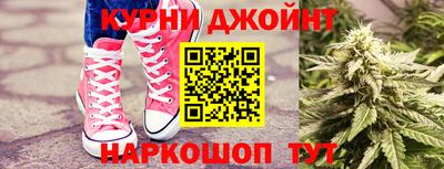 тгк Обь