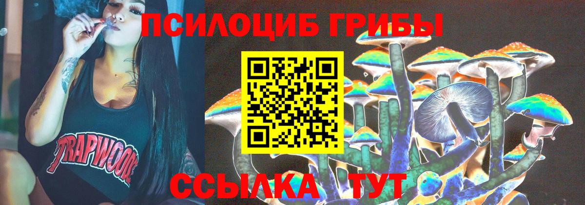 Галлюциногенные грибы Cubensis  где купить наркоту  Анапа  Вход с VPN 